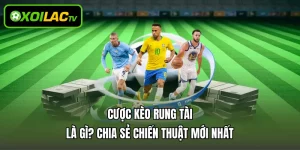 Cược Kèo Rung Tài Là Gì? Chia Sẻ Chiến Thuật Mới Nhất